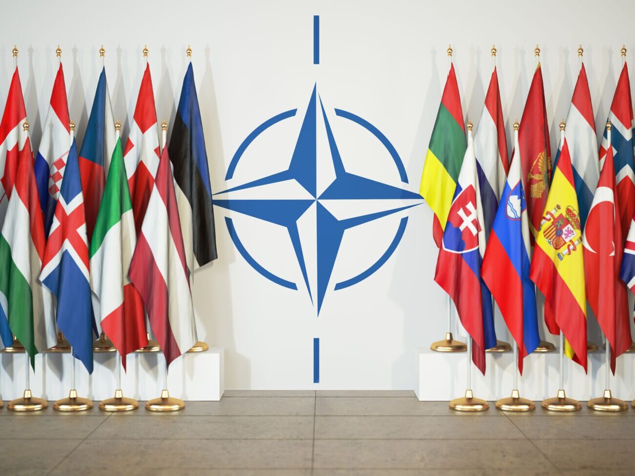 Для приєднання України до організації потрібне погоджене рішення всіх її членів, серед яких більшість становлять країни, які входять у НАТО
