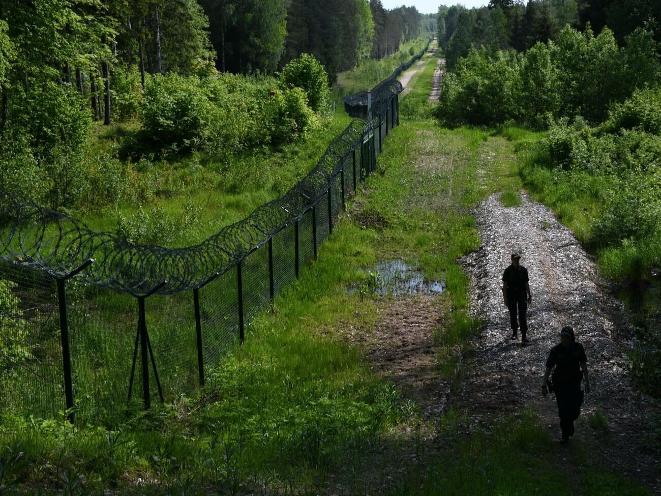 Із початку року латвійські прикордонники затримали на кордоні з Білоруссю понад 350 нелегальних мігрантів