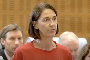 Рейнсфорд брала участь у великій пресконференції Лукашенка в Мінську