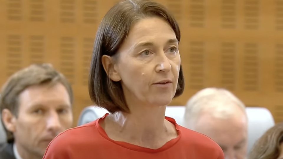 Рейнсфорд брала участь у великій пресконференції Лукашенка в Мінську