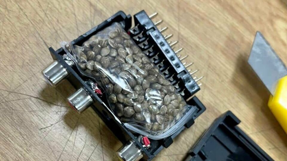 В каждом переходнике находился полиэтиленовый пакетик с семенами конопли, отметили в Гостаможне