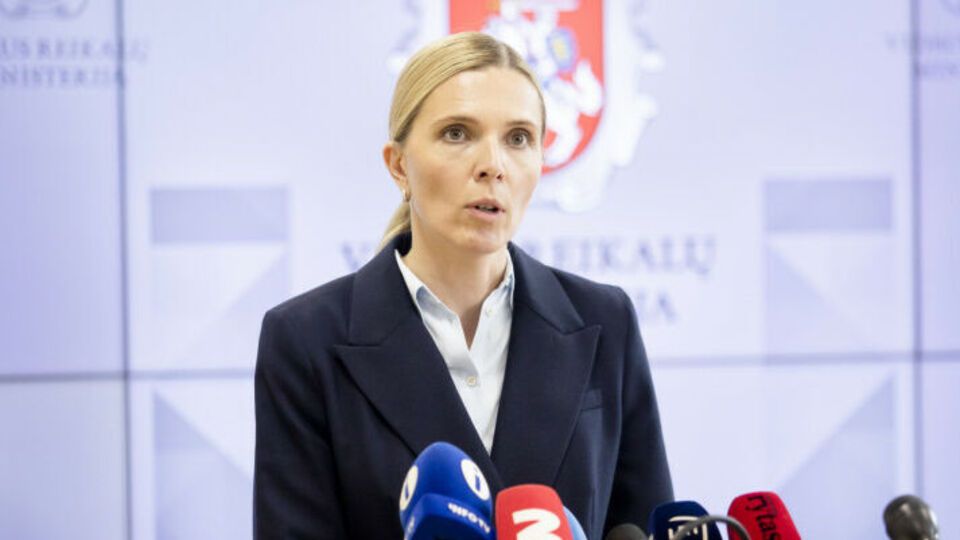 Глава МВД Литвы Билотайте: Ситуация стабилизировалась, но мы не можем расслабляться