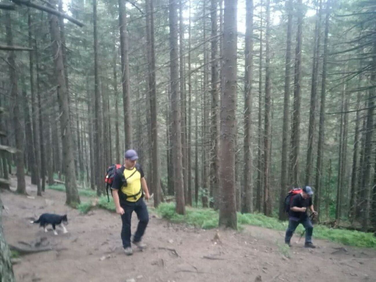 Дитина загубилася ввечері 14 серпня