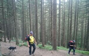 Дитина загубилася ввечері 14 серпня