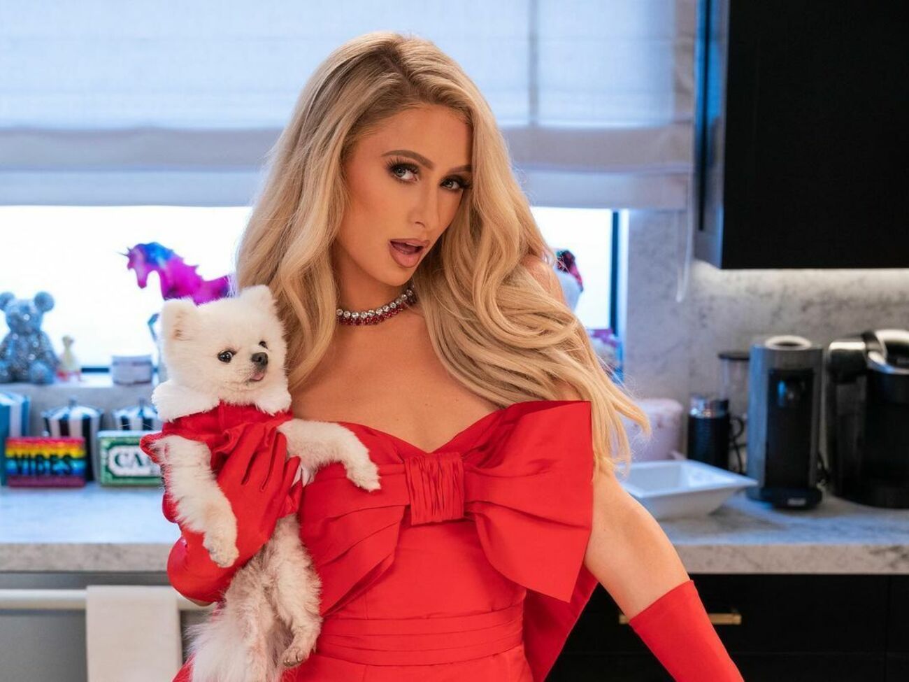 Пэрис родилась&nbsp;в семье наследников основателя&nbsp;сети отелей&nbsp;Hilton Конрада Хилтона