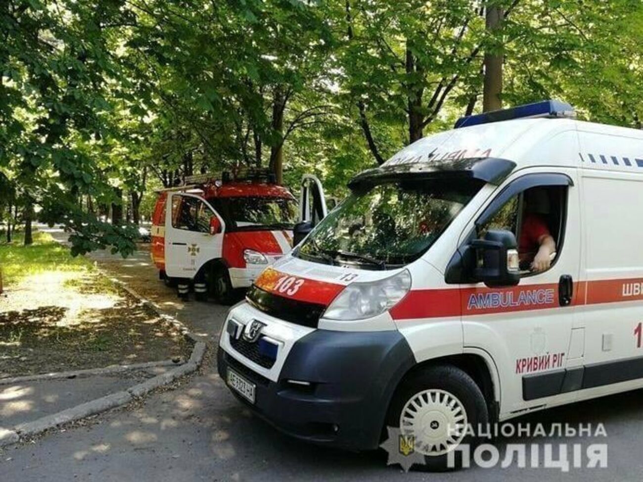 Чоловік і жінка, які перебували в будинку, загинули