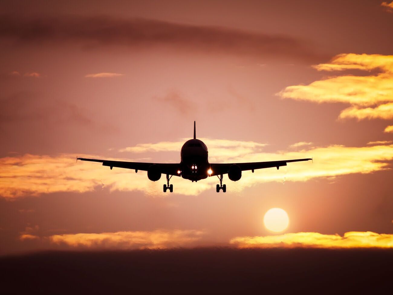 Украина эвакуировала из Афганистана 79 граждан