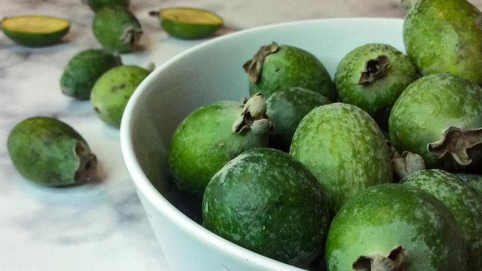 Чрезмерное употребление плодов фейхоа в редких случаях может вызвать аллергические реакции