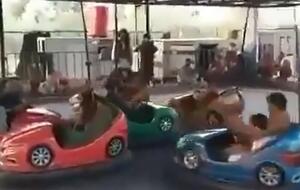 Талибов сняли в парке развлечений