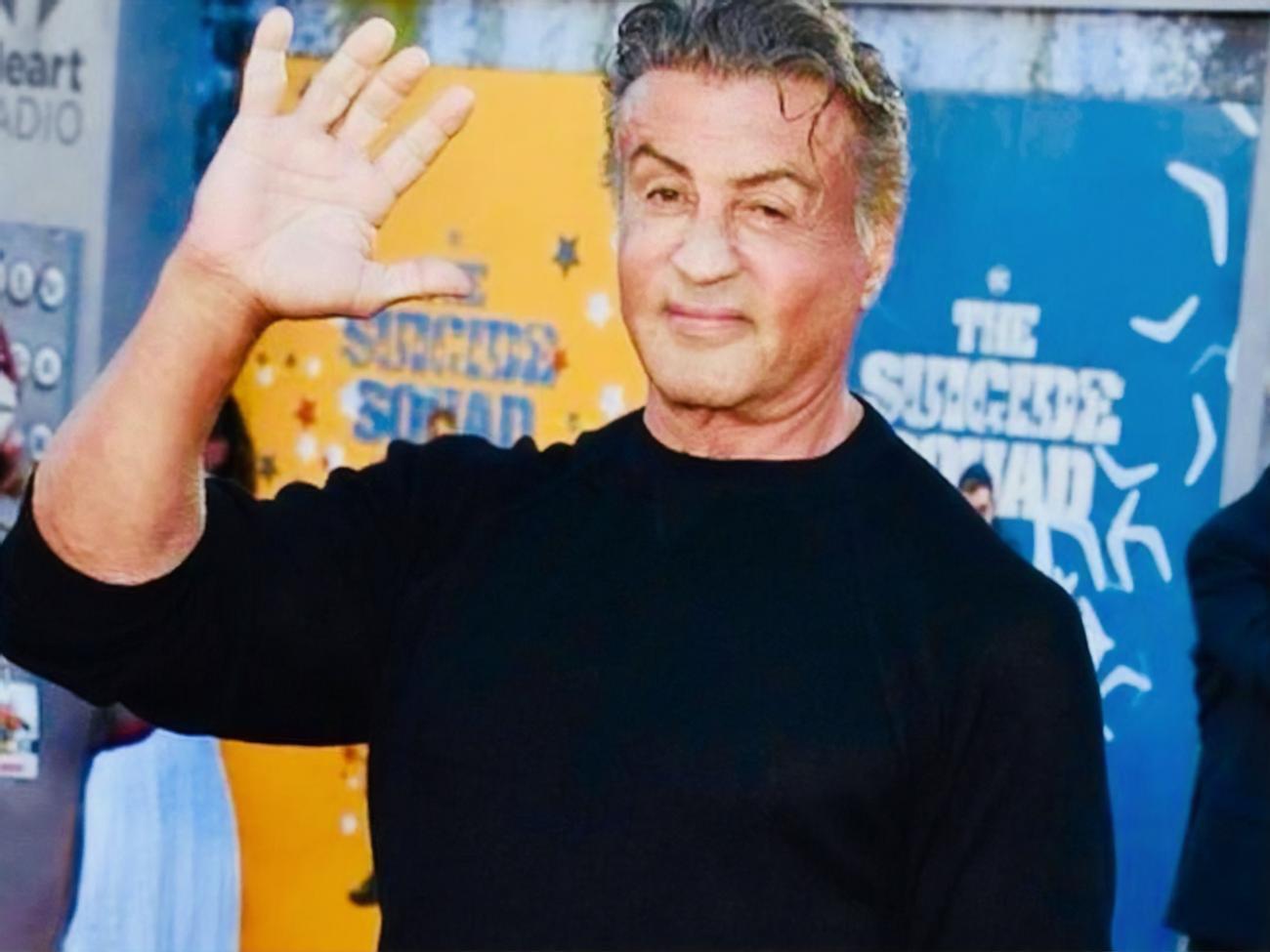 "Ты действительно счастливчик, Слай", &ndash; прокомментировал фото Сталлоне с супругой один из его подписчиков в соцсети