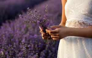 3 августа свежий воздух охватит значительную часть Украины