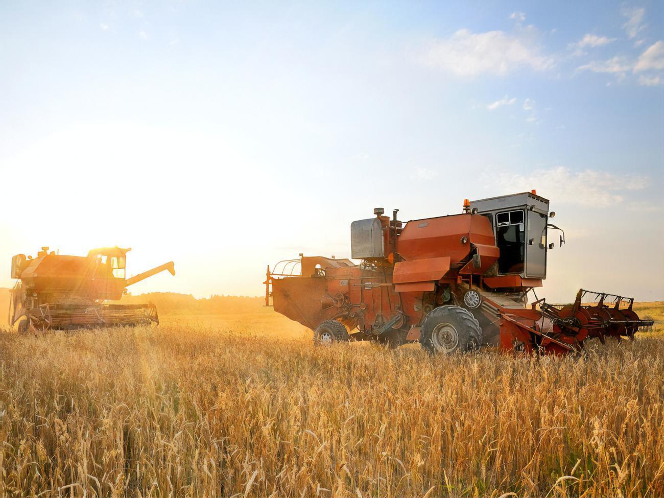 1 липня в Україні відкрили ринок землі