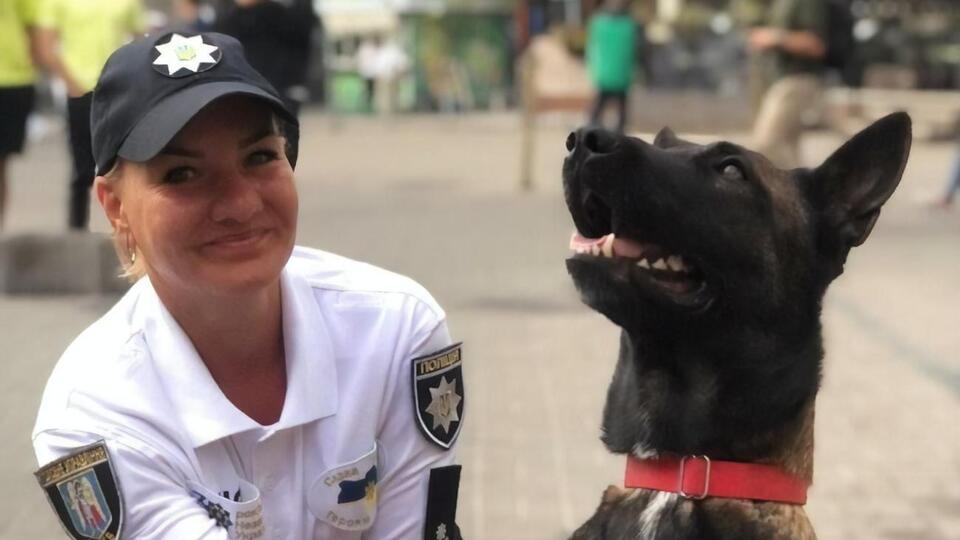 Кінологи зі службовими собаками перевірили локації, де проводитимуть святкові заходи