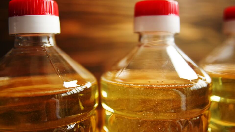 В 2020 году урожай подсолнуха в Украине сократился на 2 млн тонн