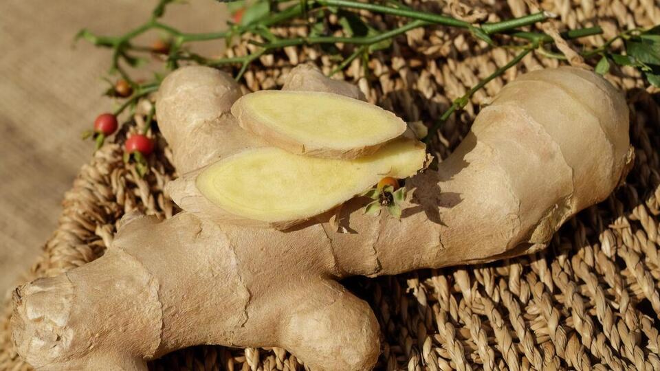 Имбирь особенно полезен в борьбе с вирусными инфекциями