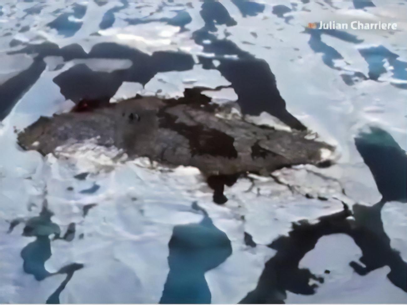 Самый северный клочок суши на планете размером около 30 метров, а его самая высокая точка&nbsp;&ndash; три&nbsp;метра над уровнем моря