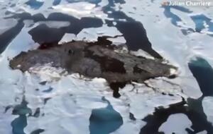 Самый северный клочок суши на планете размером около 30 метров, а его самая высокая точка – три метра над уровнем моря