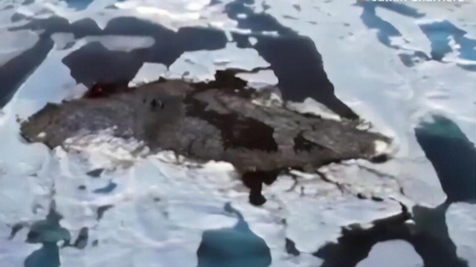 Самый северный клочок суши на планете размером около 30 метров, а его самая высокая точка – три метра над уровнем моря