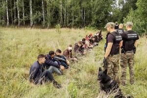 С начала августа в Польше задержали 950 нелегальных мигрантов из Беларуси, отметили в пограничной службе страны