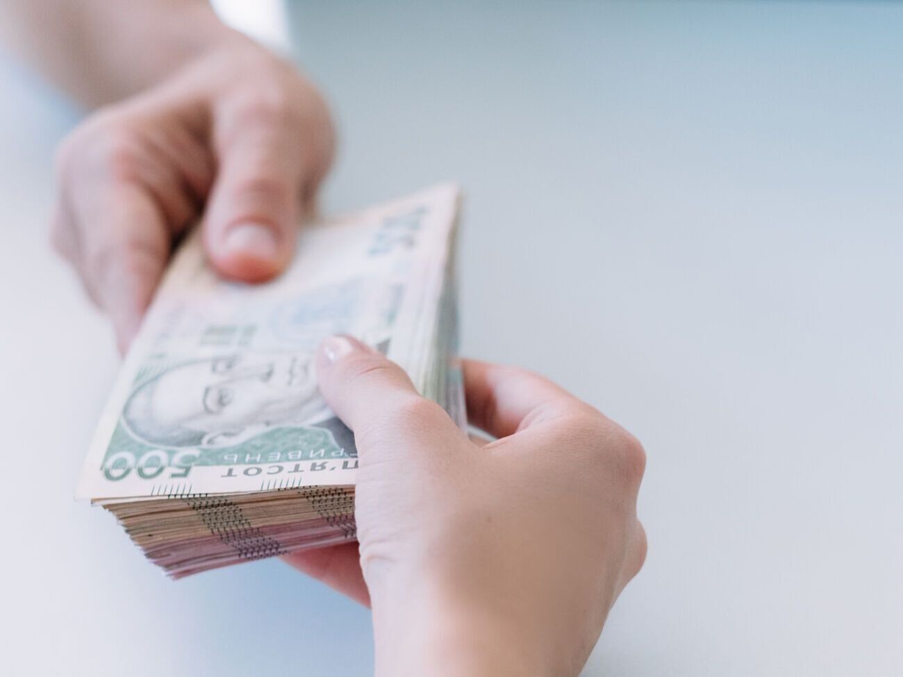 НАБУ подозревает директора лесхоза и его брата в присвоении 50 млн грн