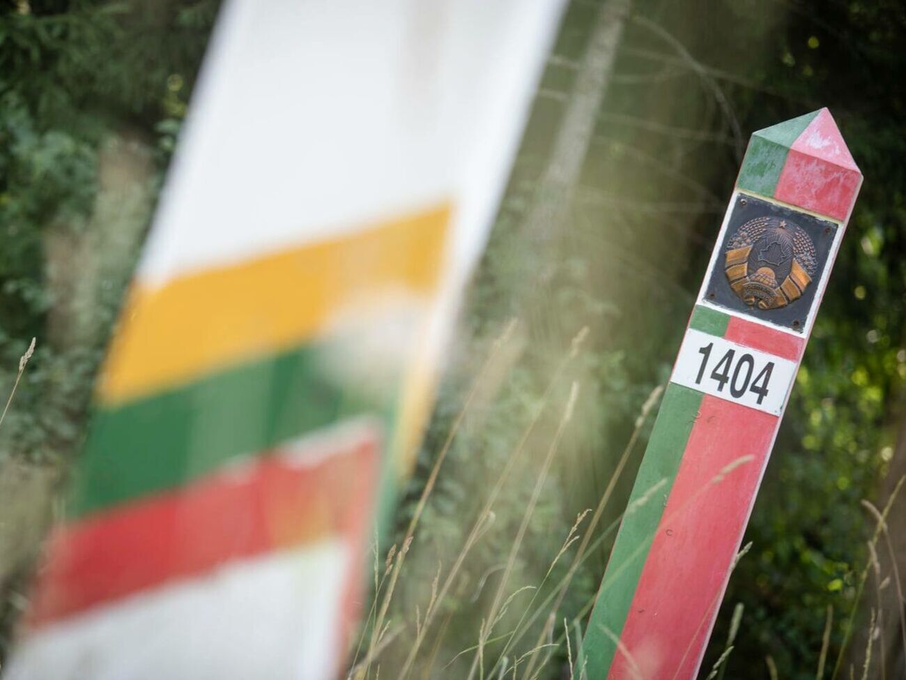 По данным МВД Литвы, в 2021 году литовско-белорусскую границу нелегально пересекли более 4 тыс. мигрантов