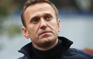 Навальному объявили выговор за то, что он "употребил некультурные слова" и "демонстративно снял куртку"