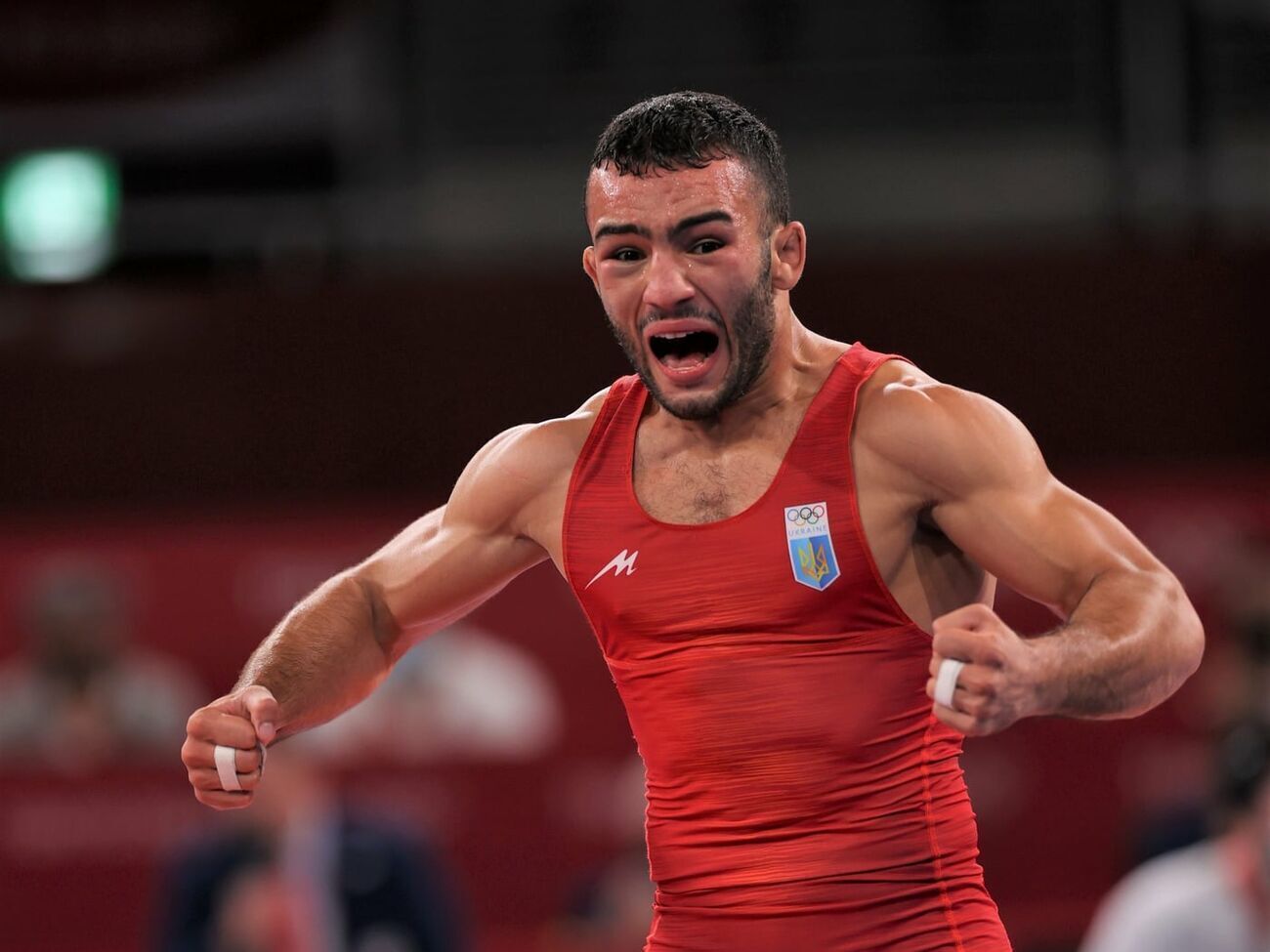 Насібов&nbsp;&ndash; срібний призер Олімпіади