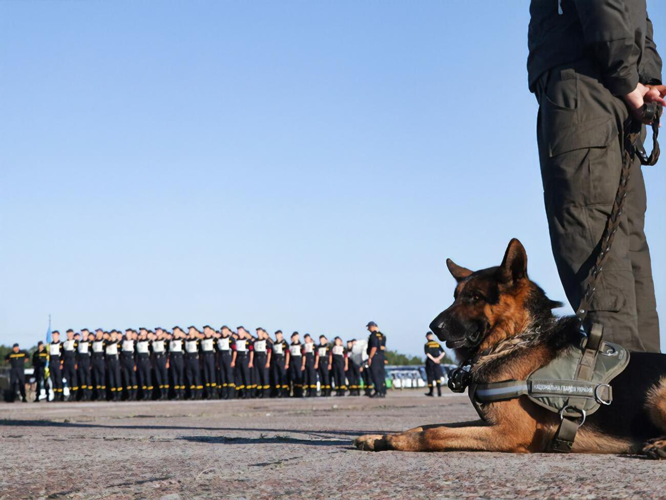 Нацгвардия провела первую репетицию парада ко Дню Независимости – на взлетной полосе и с собаками. Фоторепортаж