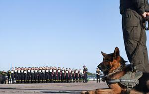 Нацгвардия провела первую репетицию парада ко Дню Независимости – на взлетной полосе и с собаками. Фоторепортаж