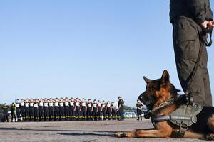 Нацгвардія провела першу репетицію параду до Дня Незалежності – на злітній смузі та із собаками. Фоторепортаж