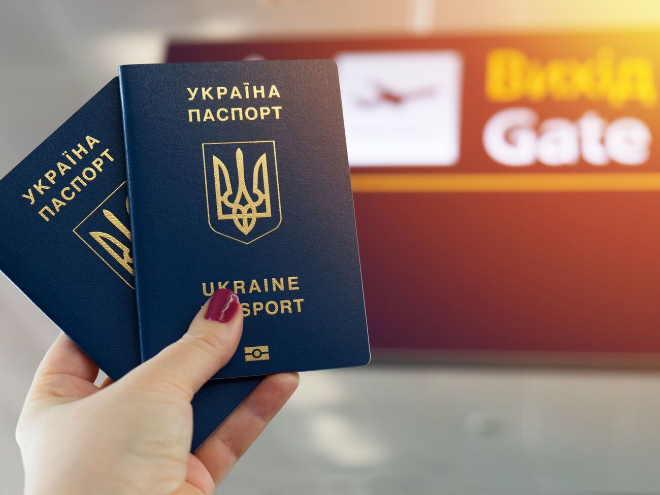 Практика получения второго загранпаспорта есть у многих государств, включая страны Евросоюза и страны, имеющие безвиз с ЕС. Но рекомендация Еврокомиссии относилась только к Украине