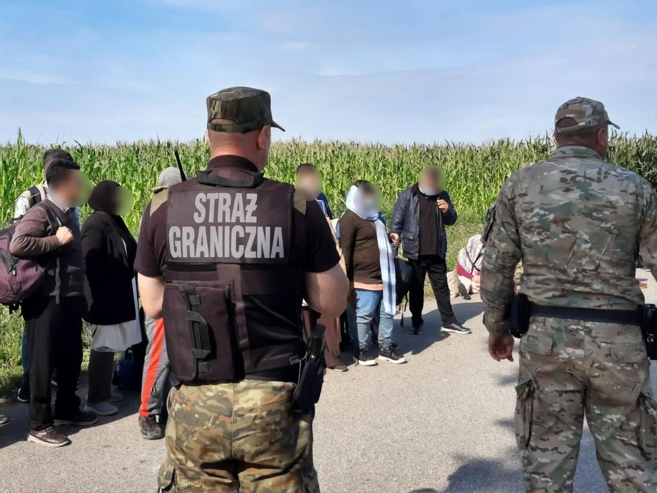 С начала года польские пограничники задержали 522 нелегала на границе с Беларусью, 133 из них за последние два дня