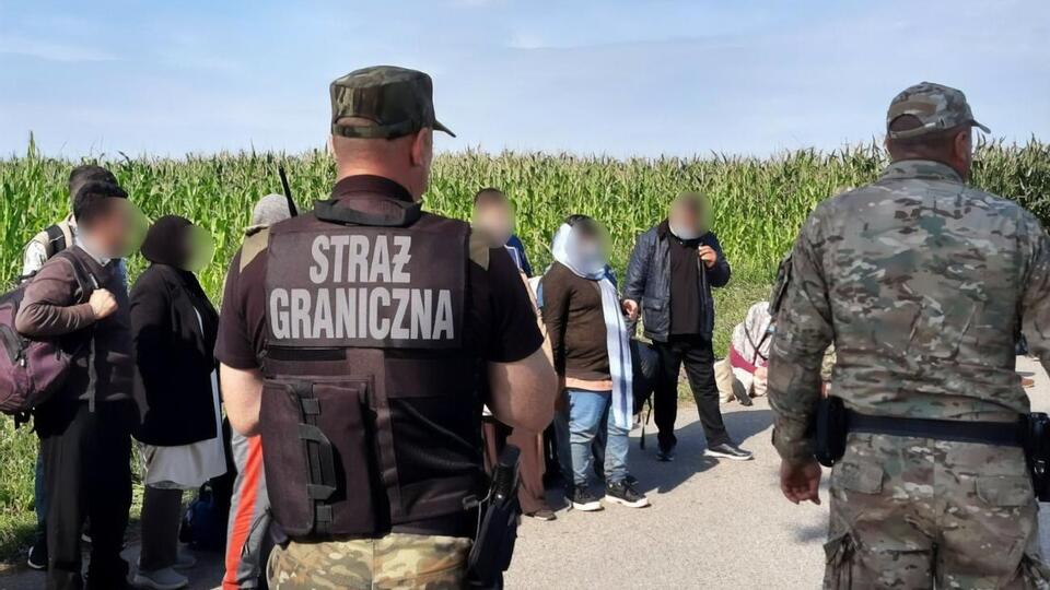 Від початку року польські прикордонники затримали 522 нелегалів на кордоні з Білоруссю, 133 із них протягом останніх двох днів