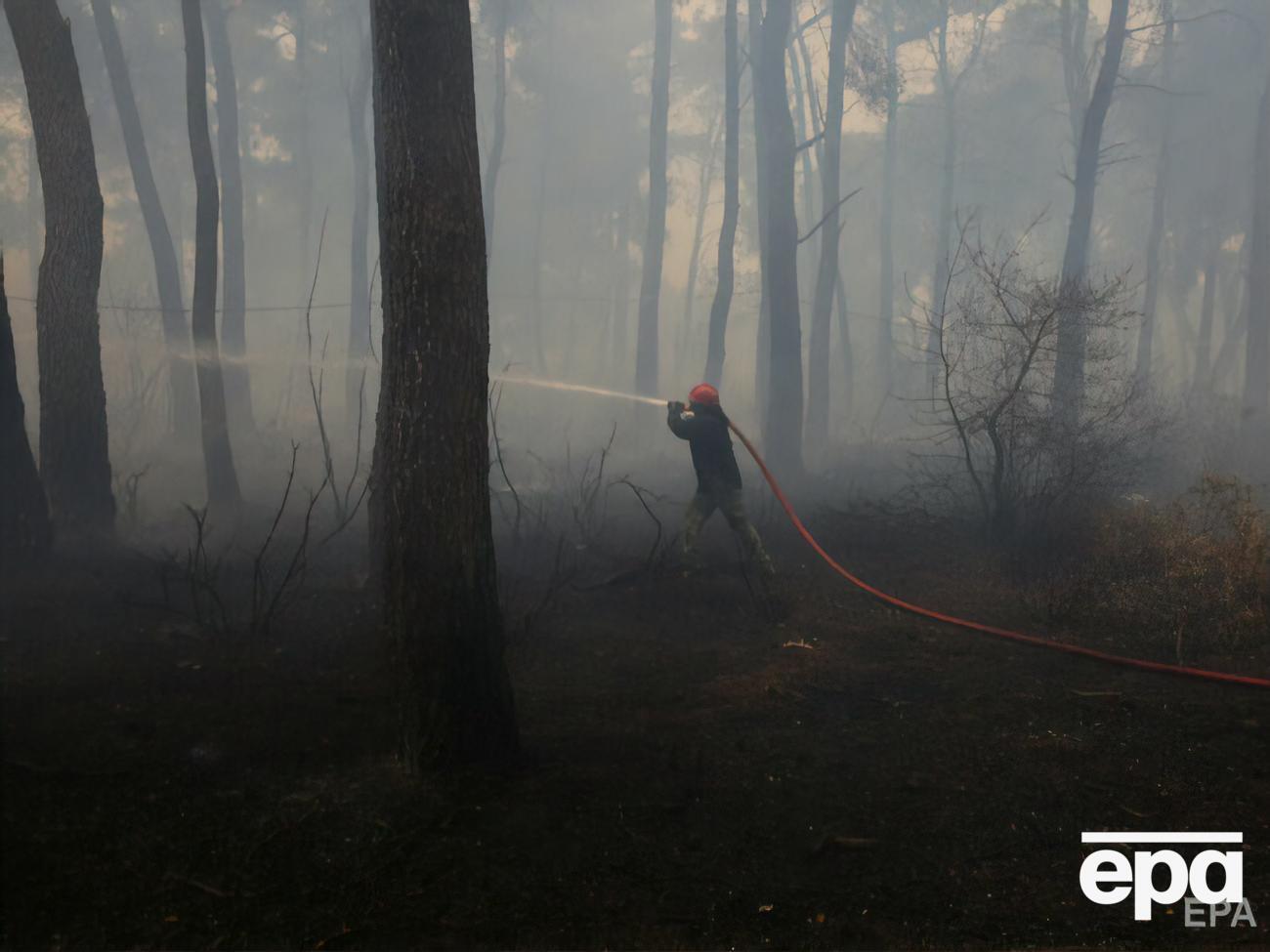 В Греции бушуют лесные пожары