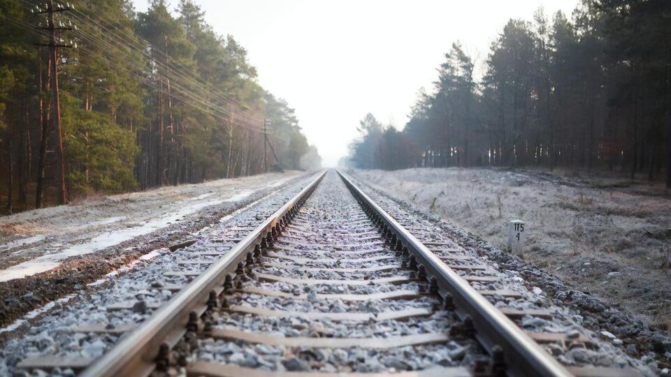 За попередніми даними, жінка переходила залізничну колію у невстановленому місці