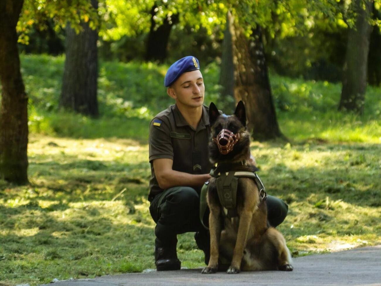 У межах параду відбулися виступи собак, а тим, хто не зміг узяти участь, поставили банер з історіями про їхні подвиги