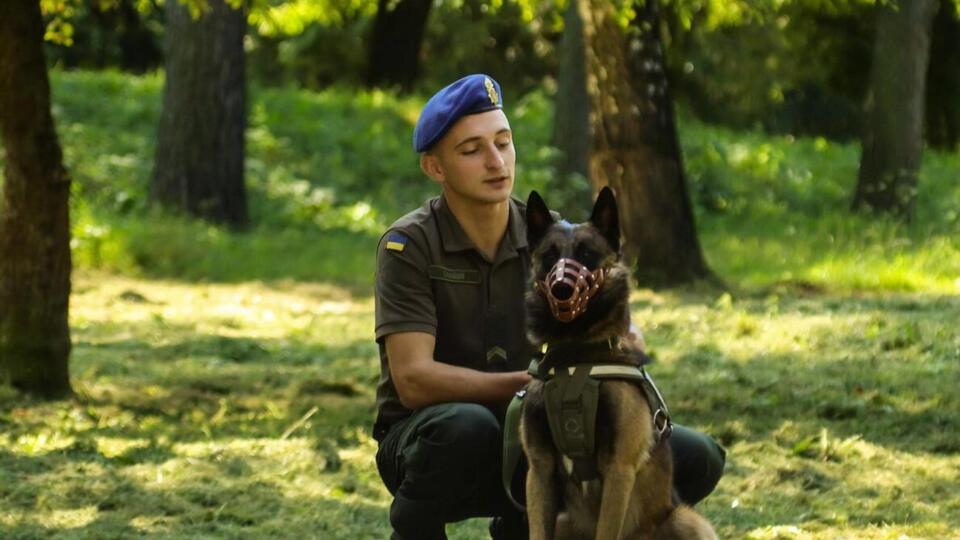 У межах параду відбулися виступи собак, а тим, хто не зміг узяти участь, поставили банер з історіями про їхні подвиги