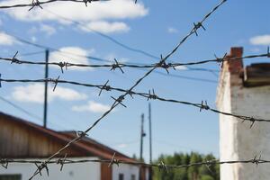 В Украине в местах заключения находятся более 1,5 тыс. осужденных на пожизненные сроки