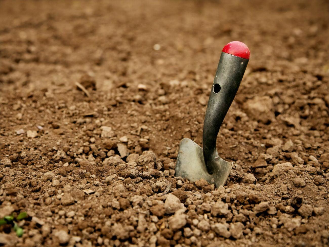 Археологи подали заявление в полицию