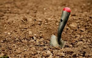 Археологи подали заявление в полицию