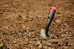 Археологи подали заяву в поліцію