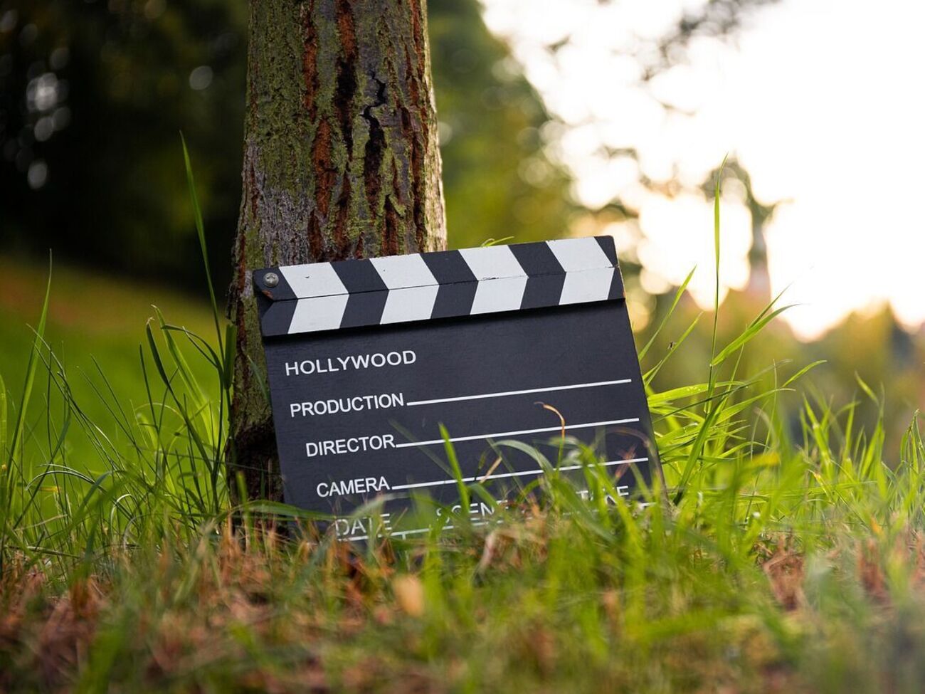 В Украину намерены привлекать иностранных кинематографистов