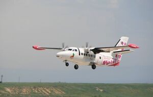 Літак летів із Іркутська