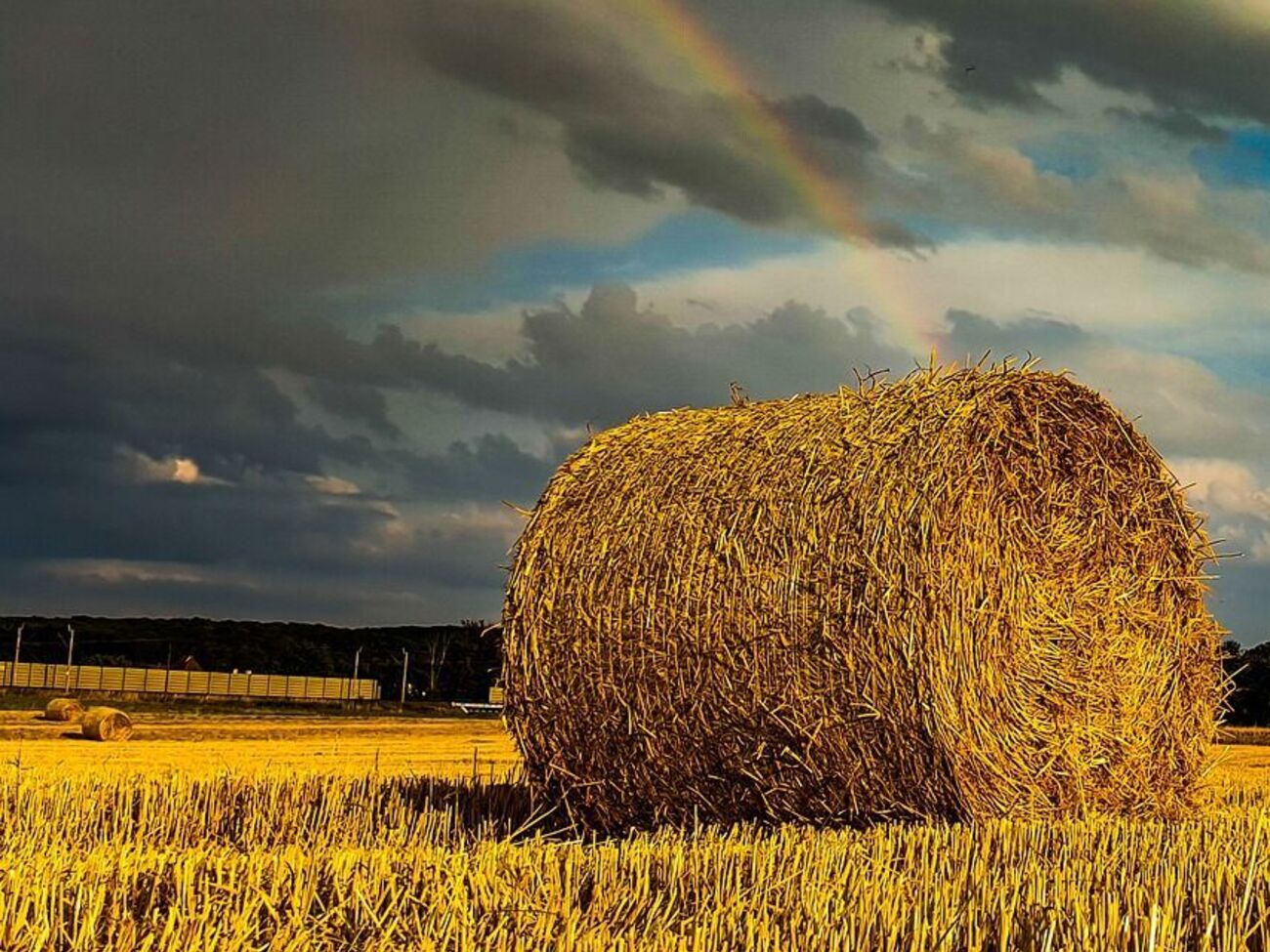 Осень 2021 года в Украине будет очень сухой, прогнозируют синоптики