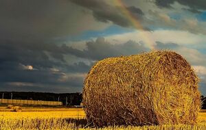 Осінь 2021 року в Україні буде дуже сухою, прогнозують синоптики