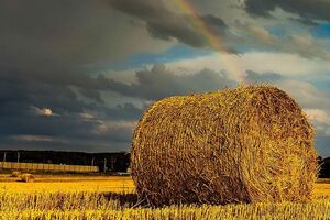 Осень 2021 года в Украине будет очень сухой, прогнозируют синоптики