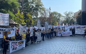 Представители компаний обратились к президенту Владимиру Зеленскому, главе Офиса президента Андрею Ермаку, а также руководителям Кабинета Министров с просьбой вмешаться в ситуацию