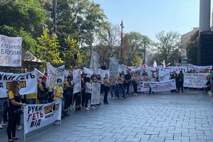 Представители компаний обратились к президенту Владимиру Зеленскому, главе Офиса президента Андрею Ермаку, а также руководителям Кабинета Министров с просьбой вмешаться в ситуацию