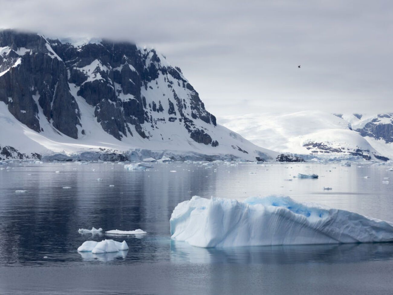 В ближайшие десятилетия человечество столкнется с температурными рекордами, сказано в исследовании Nature