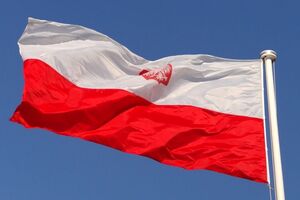 Злоумышленники подделывали документы для получения "карты поляка"